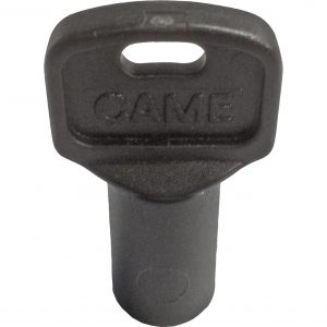 CAME 119RIY077S Plastic Triangular Release Key