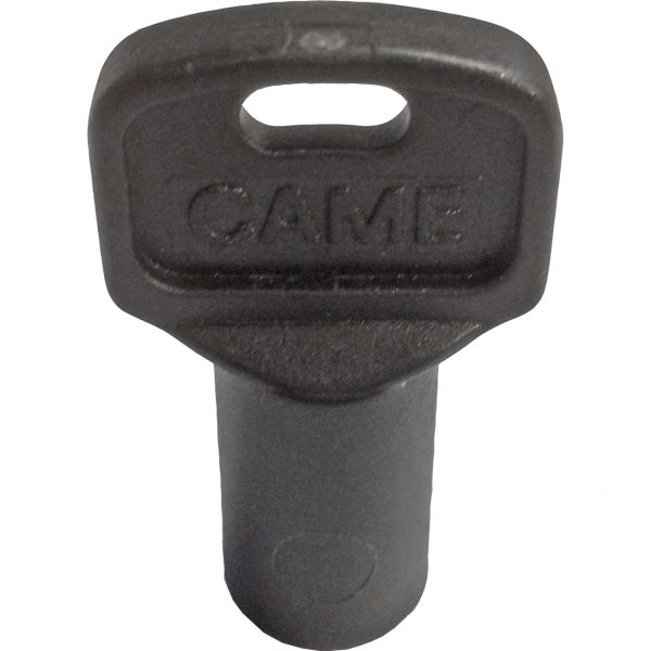 CAME 119RIY077S Plastic Triangular Release Key