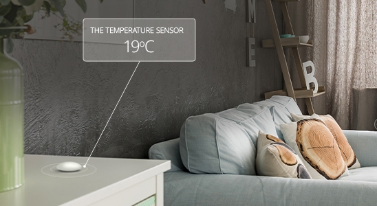 Temperature Sensor 19ºC