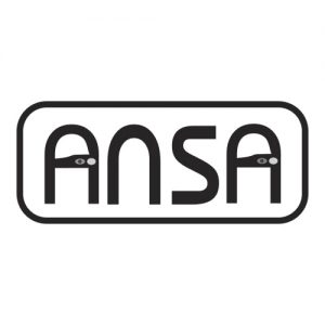 ANSA Remote Controls